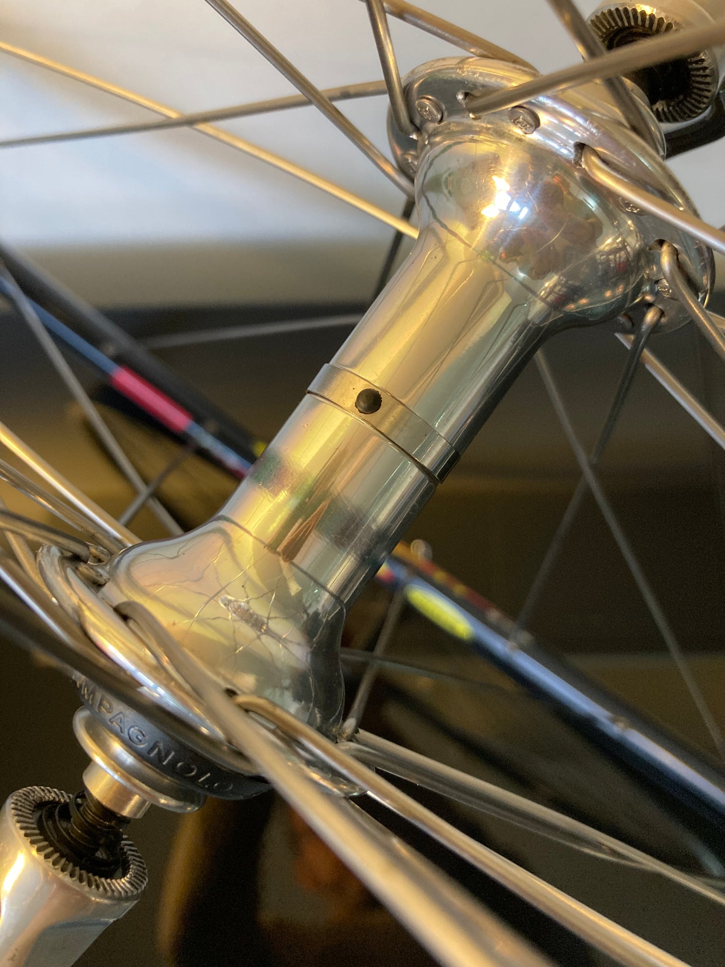 Ruote Campagnolo Record 9-10-11, Mavic CXP33. Per copertoncino.