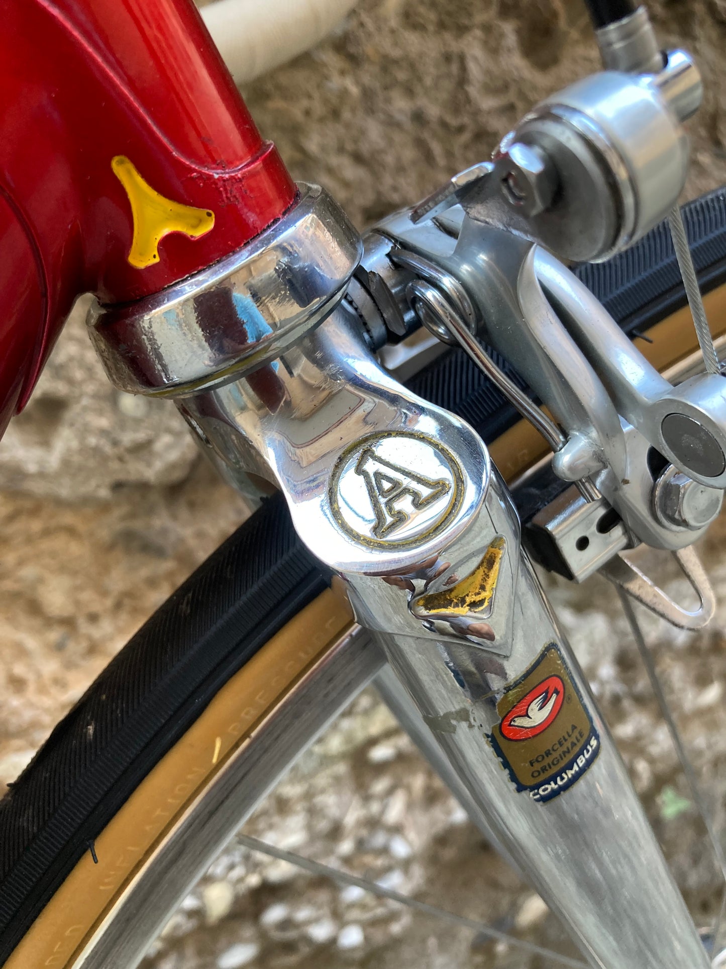 Bici "Anselmo Special" by Losa. Tg.53. Campagnolo Nuovo Record - Ofmega.
