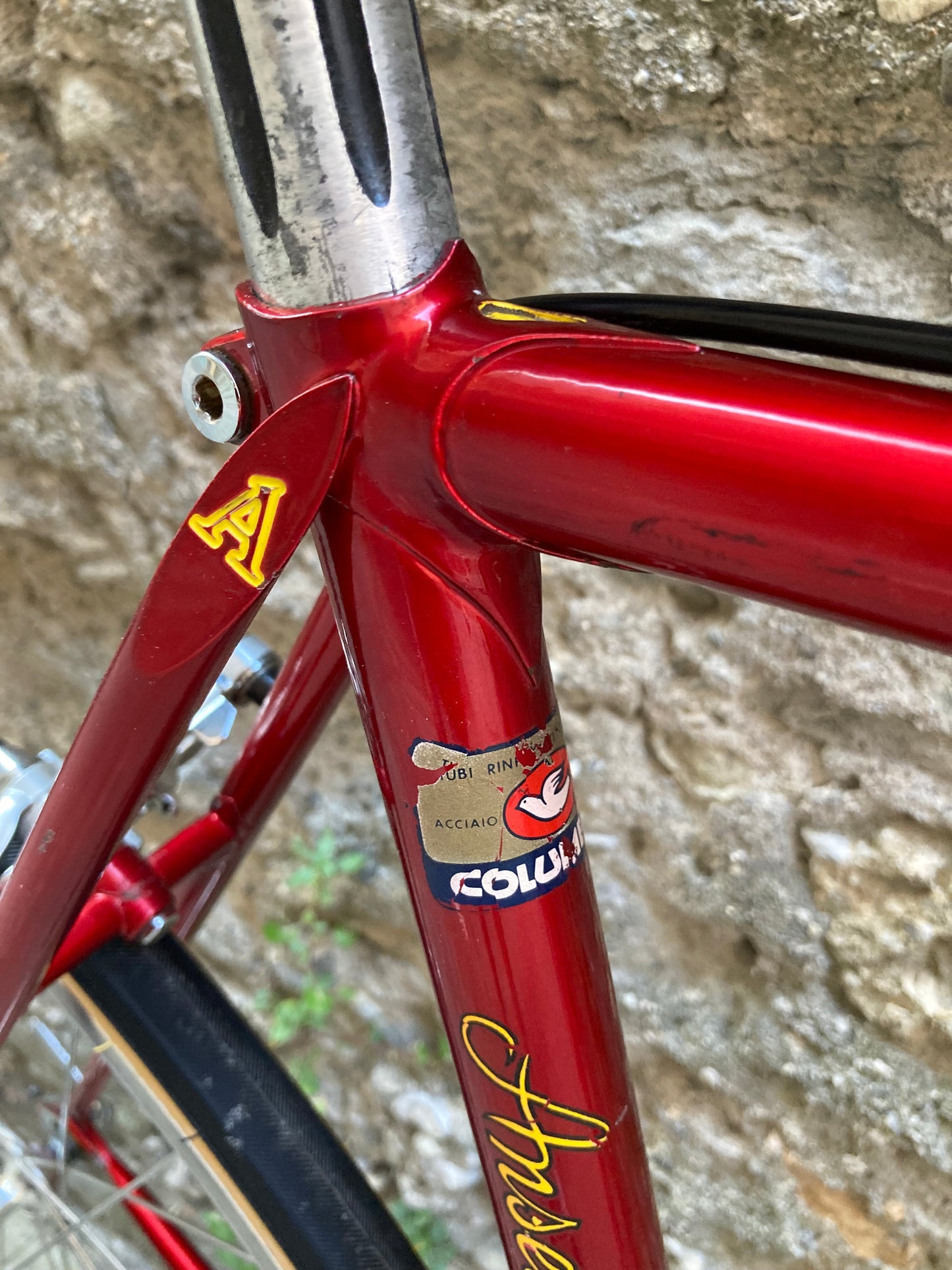 Bici "Anselmo Special" by Losa. Tg.53. Campagnolo Nuovo Record - Ofmega.
