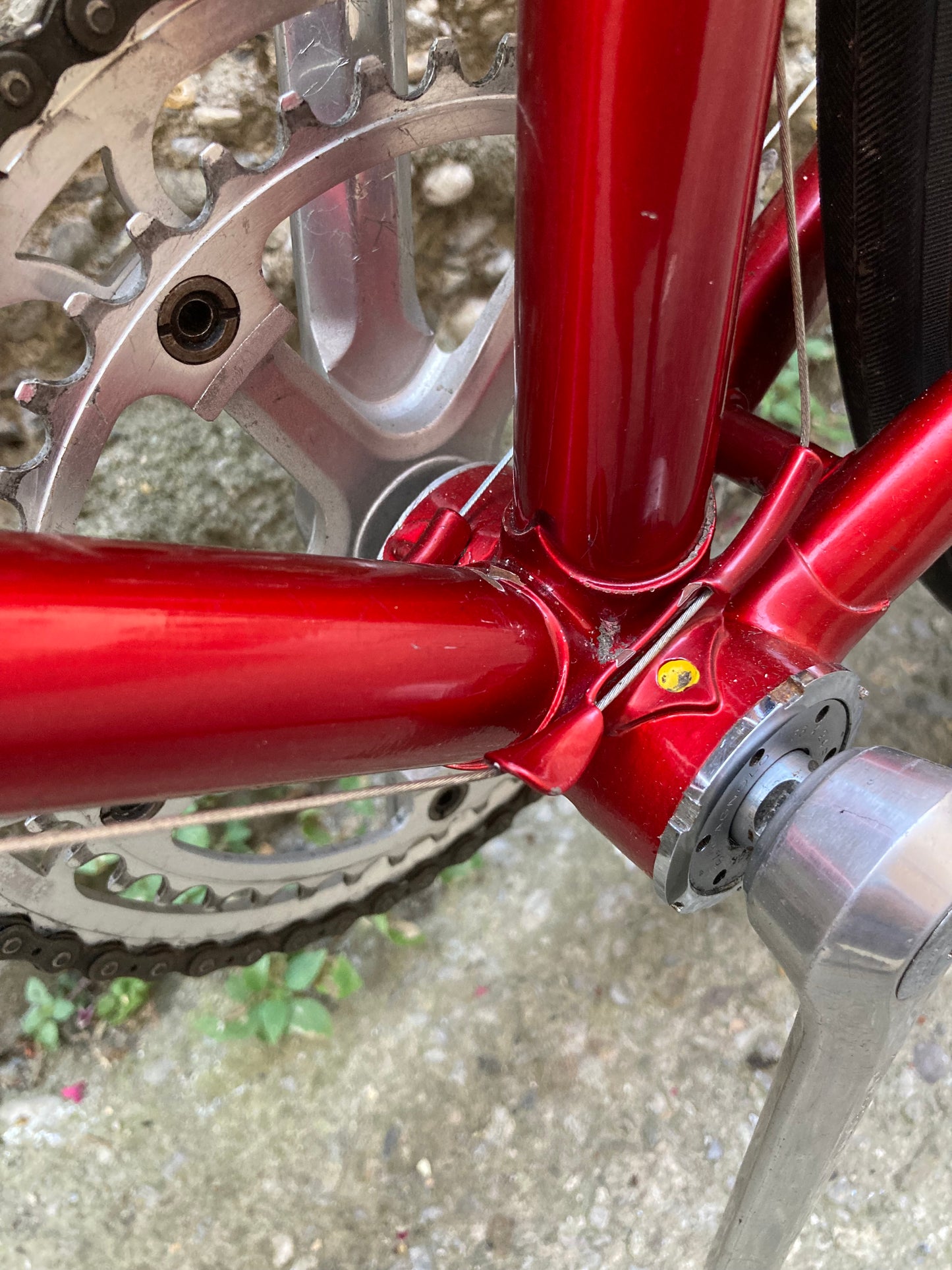 Bici "Anselmo Special" by Losa. Tg.53. Campagnolo Nuovo Record - Ofmega.