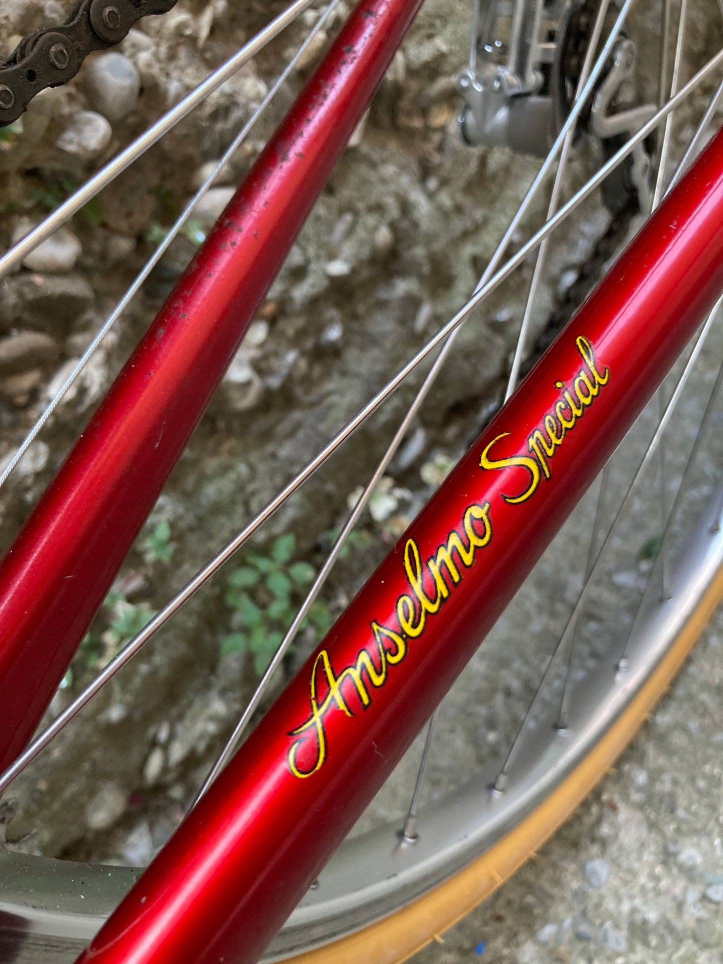 Bici "Anselmo Special" by Losa. Tg.53. Campagnolo Nuovo Record - Ofmega.