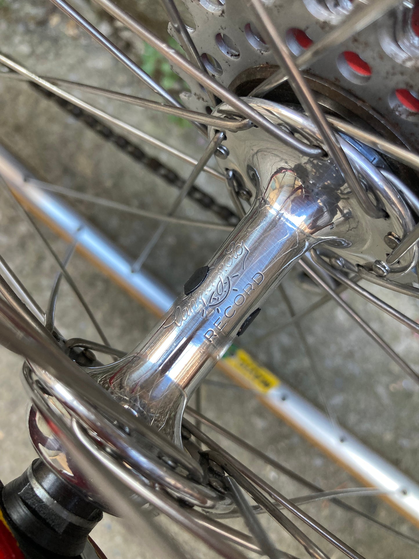 Bici "Anselmo Special" by Losa. Tg.53. Campagnolo Nuovo Record - Ofmega.
