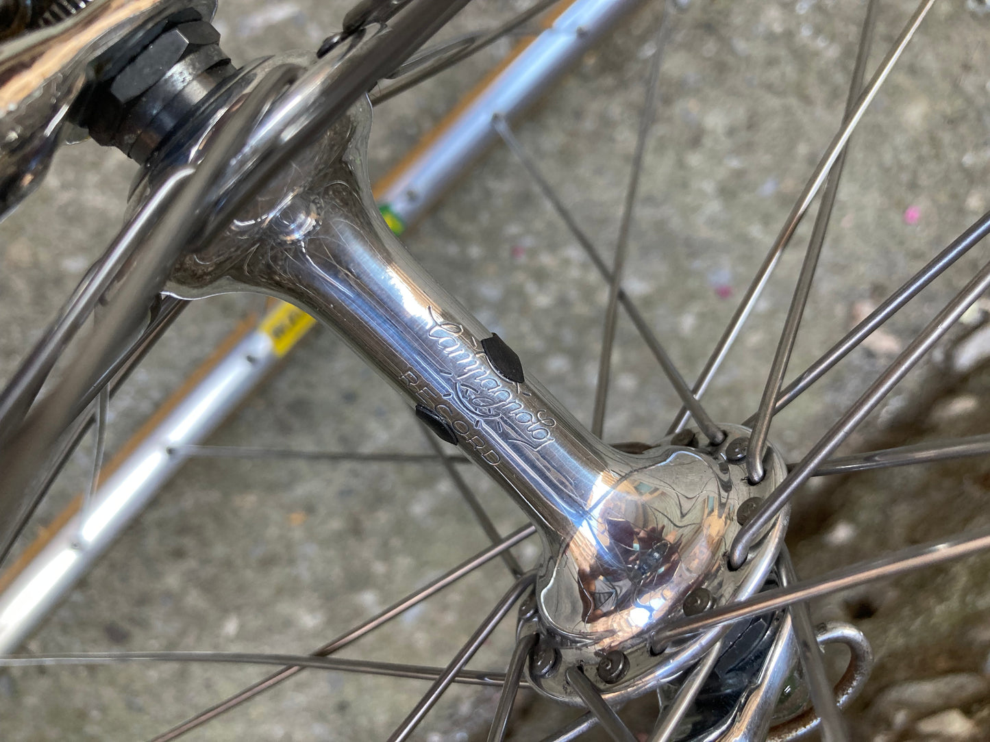 Bici "Anselmo Special" by Losa. Tg.53. Campagnolo Nuovo Record - Ofmega.