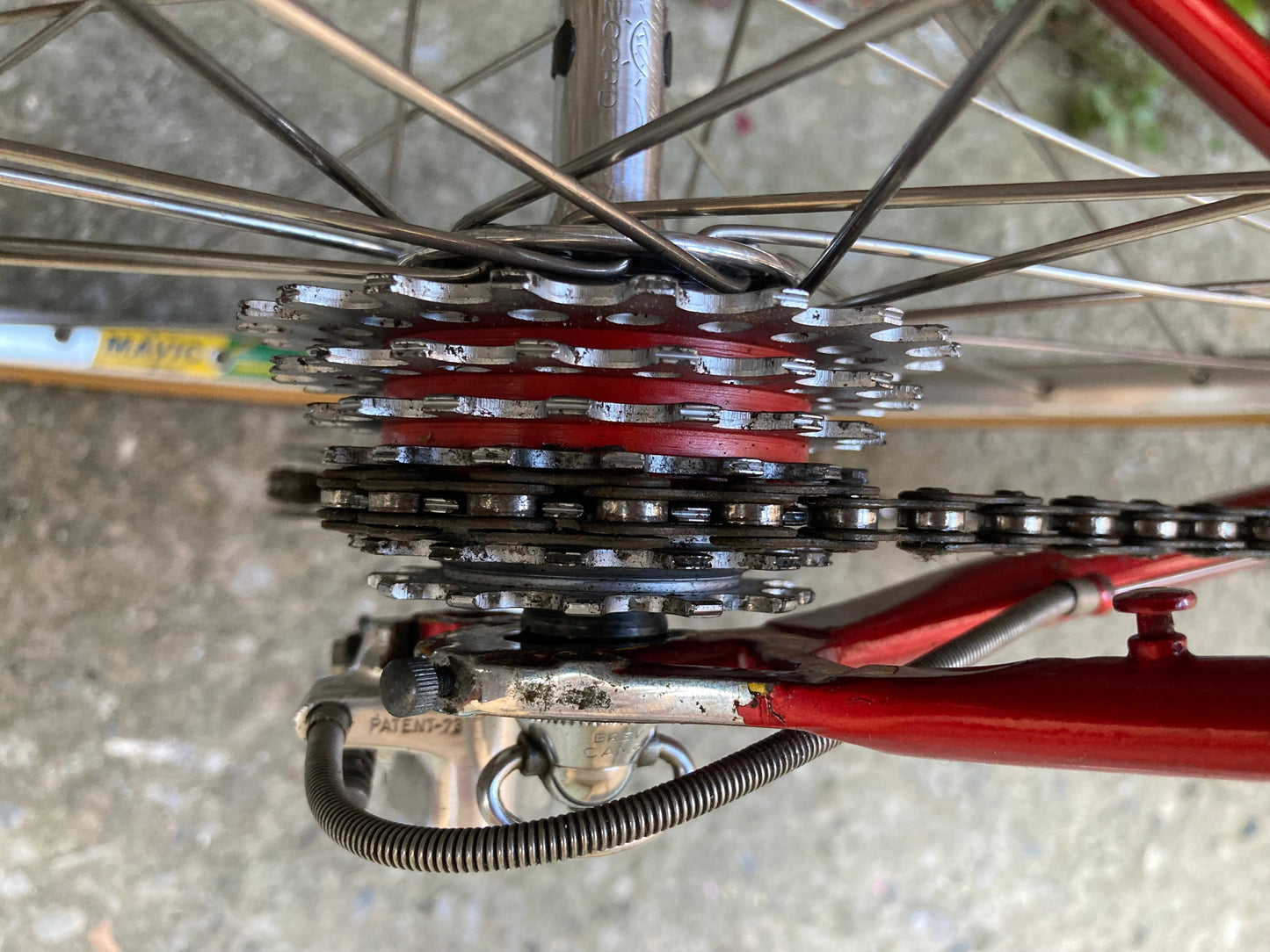 Bici "Anselmo Special" by Losa. Tg.53. Campagnolo Nuovo Record - Ofmega.