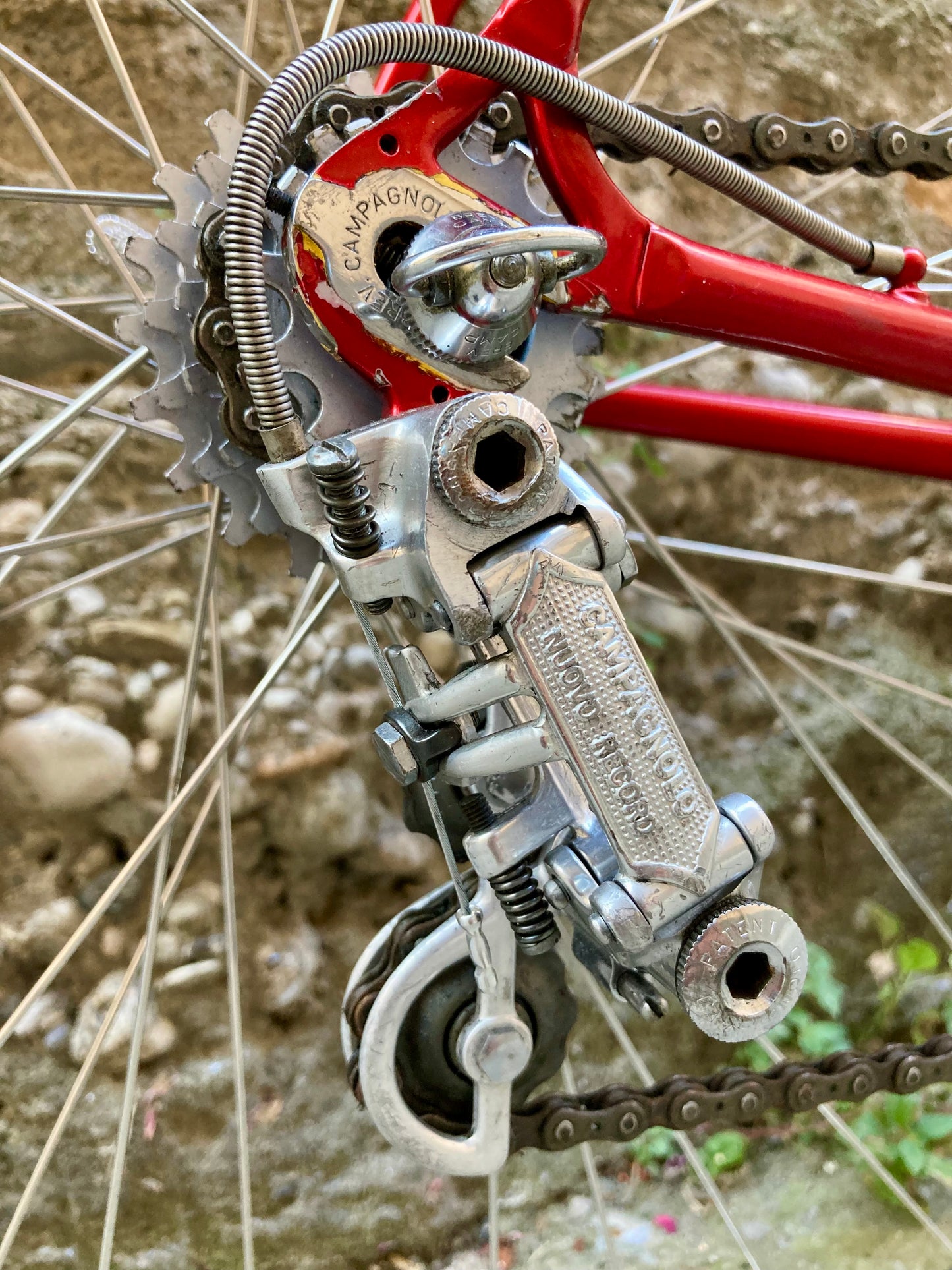 Bici "Anselmo Special" by Losa. Tg.53. Campagnolo Nuovo Record - Ofmega.