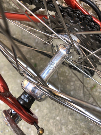 Bicicletta Olmo Grand Prix. Tg. 53. Campagnolo Nuovo Gran Sport.