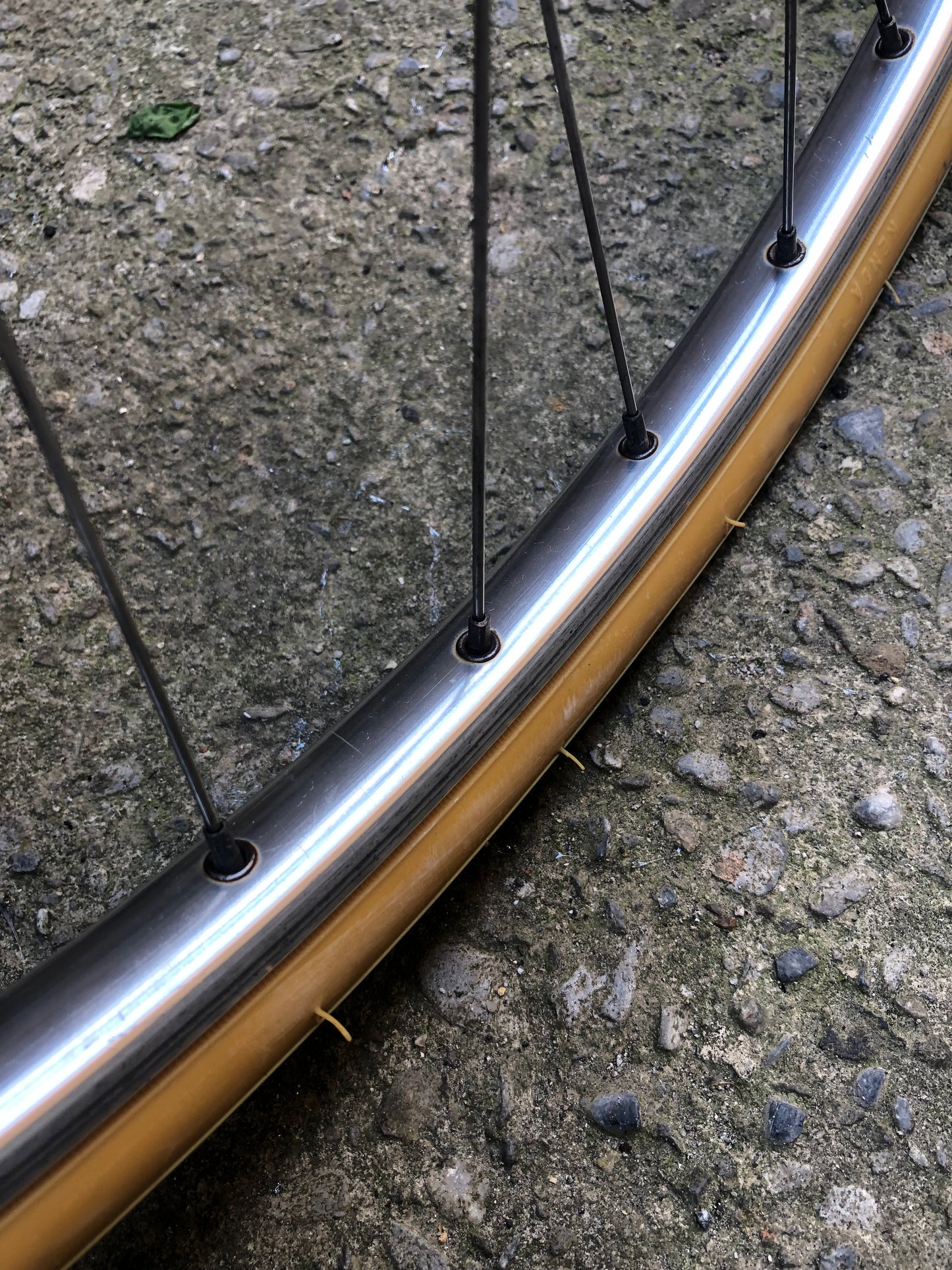 Bicicletta Olmo Grand Prix. Tg. 53. Campagnolo Nuovo Gran Sport.