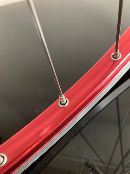 Ruote corsa Campagnolo Daytona 9-10-11v, Ambrosio Evolution.
