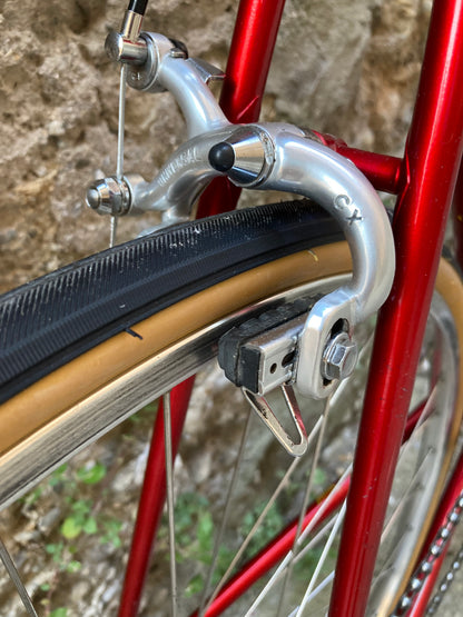 Bici "Anselmo Special" by Losa. Tg.53. Campagnolo Nuovo Record - Ofmega.