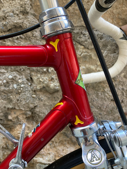 Bici "Anselmo Special" by Losa. Tg.53. Campagnolo Nuovo Record - Ofmega.