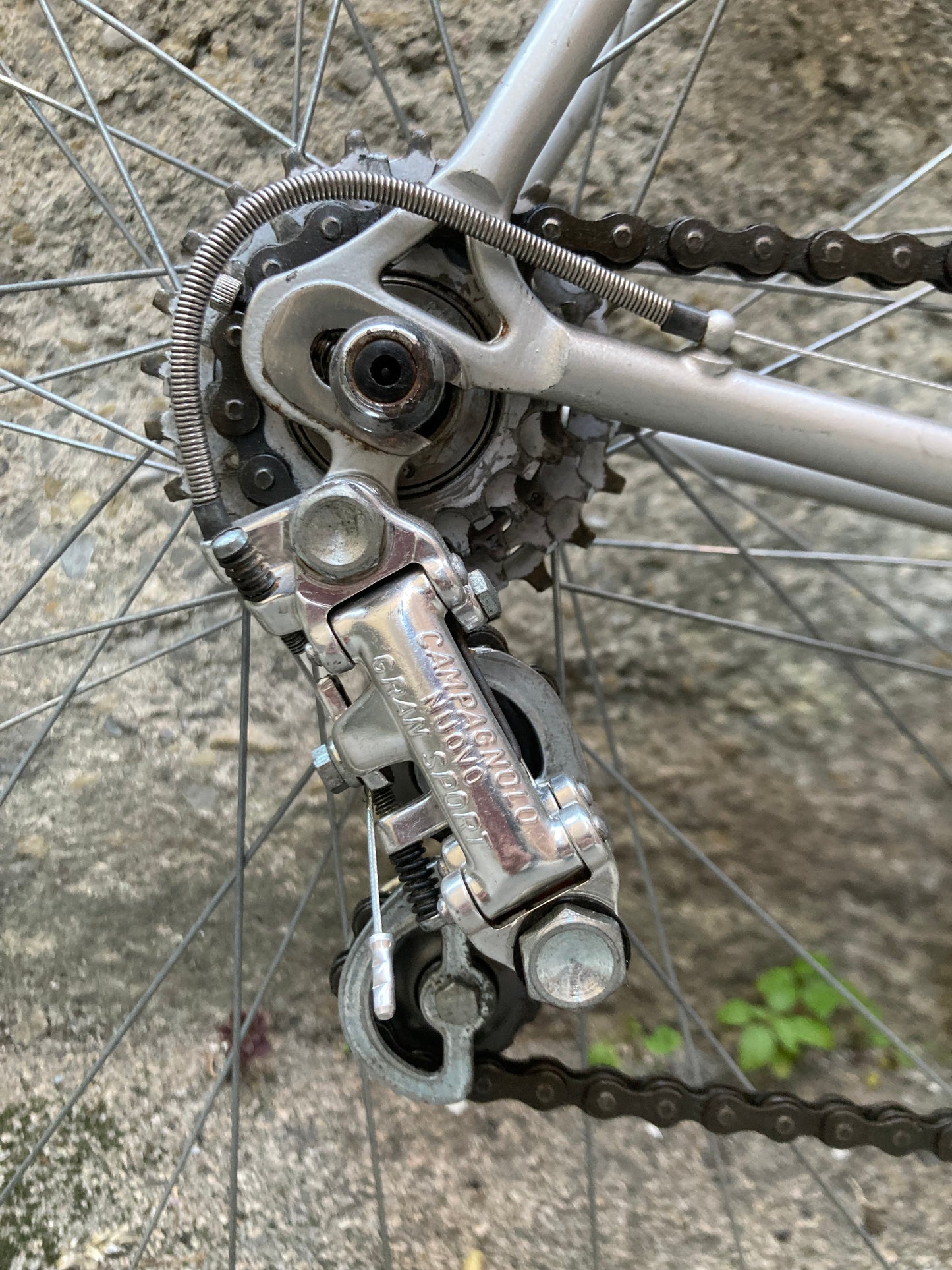 Bicicletta Olmo del '78. Tg. 54. Telaio Columbus, montaggio Campagnolo, Ofmega.