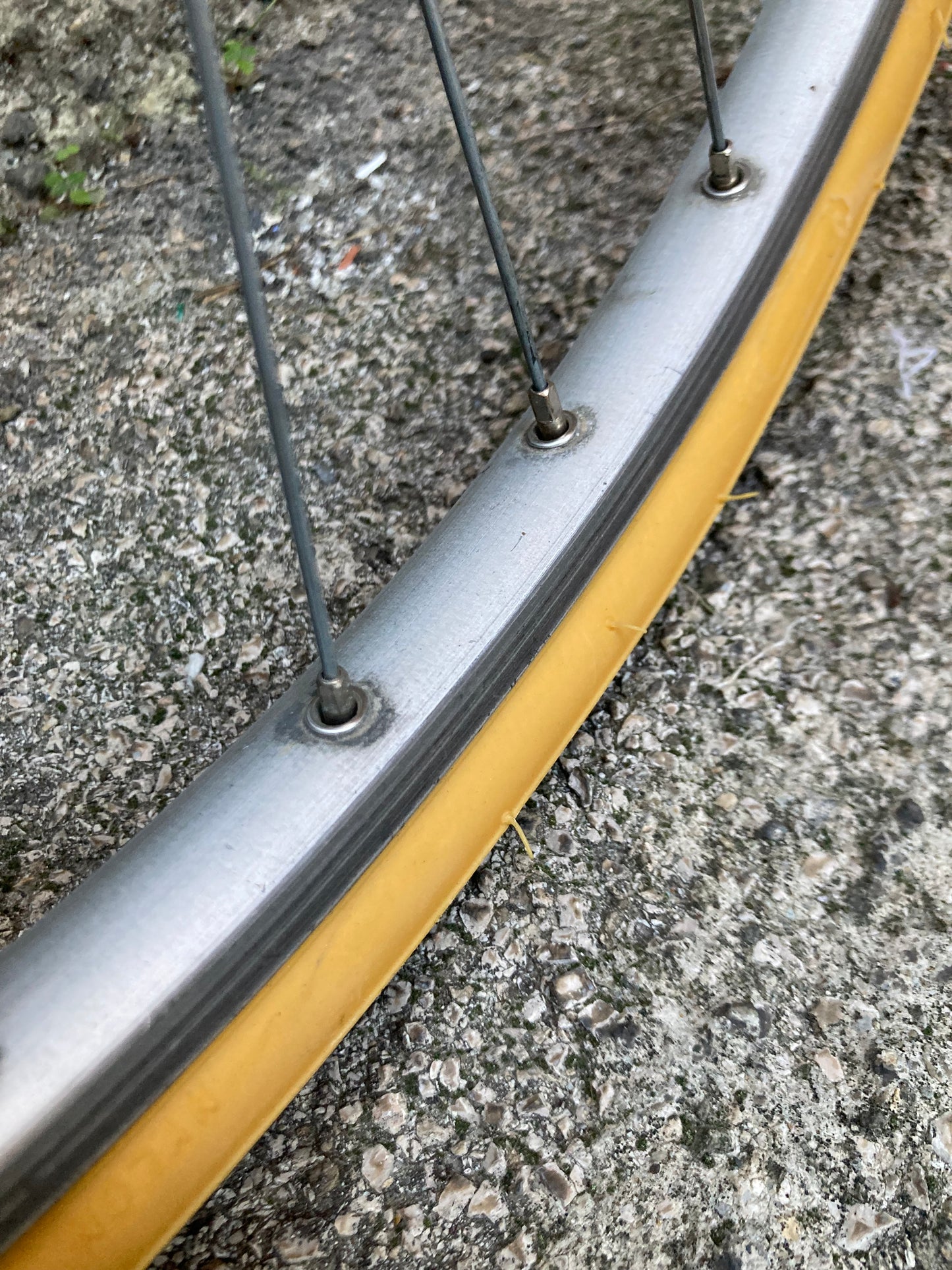 Bicicletta Olmo del '78. Tg. 54. Telaio Columbus, montaggio Campagnolo, Ofmega.