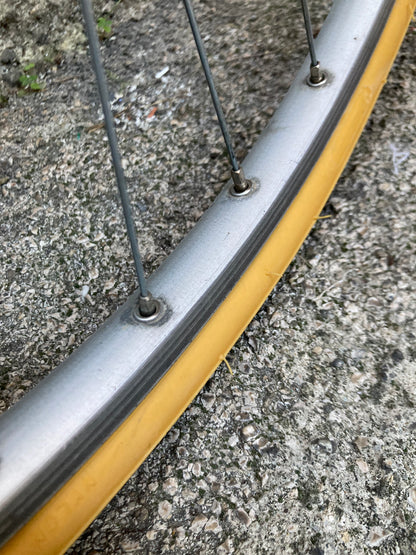 Bicicletta Olmo del '78. Tg. 54. Telaio Columbus, montaggio Campagnolo, Ofmega.