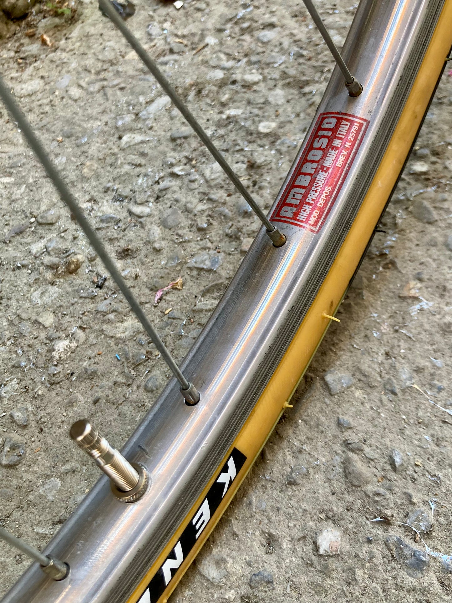 Bicicletta Bianchi Ledro del 1982. Taglia 53.