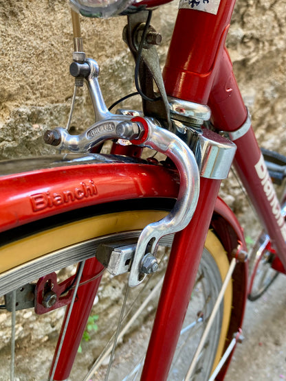 Bicicletta Bianchi Ledro del 1982. Taglia 53.