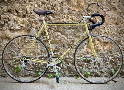 Bicicletta da corsa Racing Special, teglia 56. Campagnolo, Ofmega, Universal