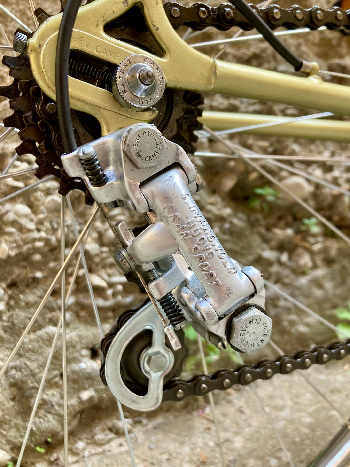 Bicicletta da corsa Racing Special, teglia 56. Campagnolo, Ofmega, Universal