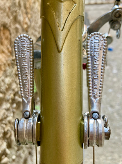 Bicicletta da corsa Racing Special, teglia 56. Campagnolo, Ofmega, Universal