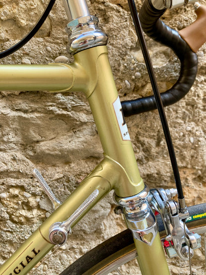 Bicicletta da corsa Racing Special, teglia 56. Campagnolo, Ofmega, Universal