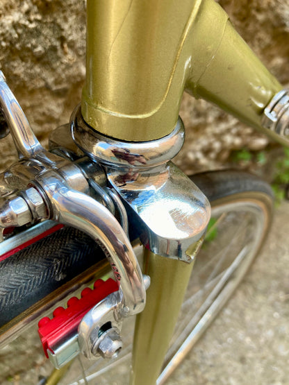 Bicicletta da corsa Racing Special, teglia 56. Campagnolo, Ofmega, Universal