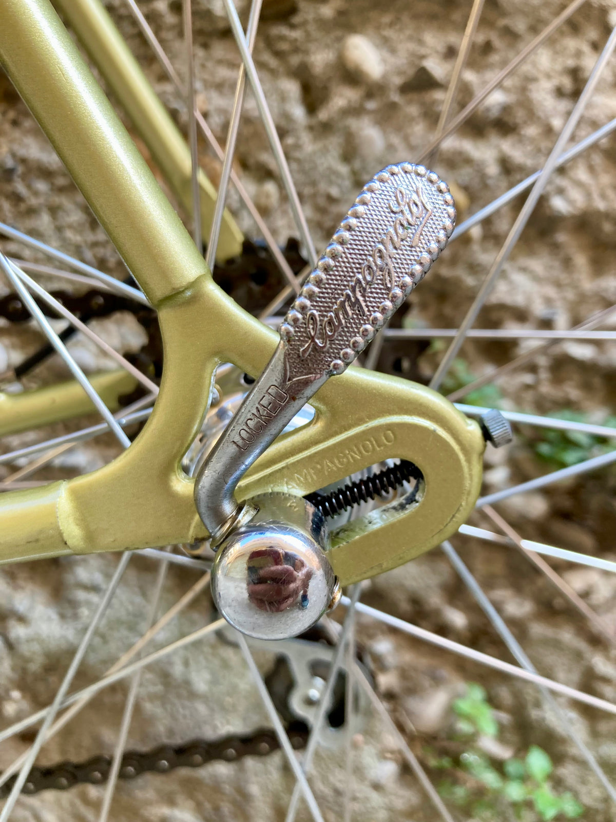 Bicicletta da corsa Racing Special, teglia 56. Campagnolo, Ofmega, Universal