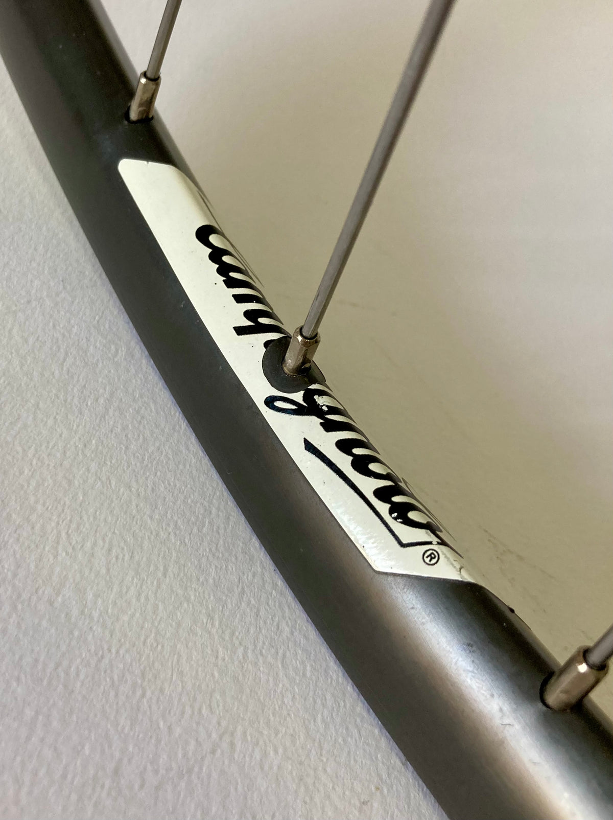 Ruote Campagnolo Record 9 10 11v. Cerchi Omega per copertoncino