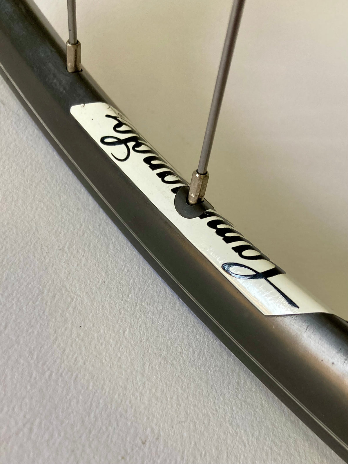 Ruote Campagnolo Record 9 10 11v. Cerchi Omega per copertoncino