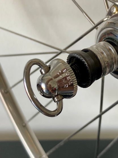 Ruote da corsa Campagnolo Record, cerchi Nisi per tubolare, con raggi Aeralpina.