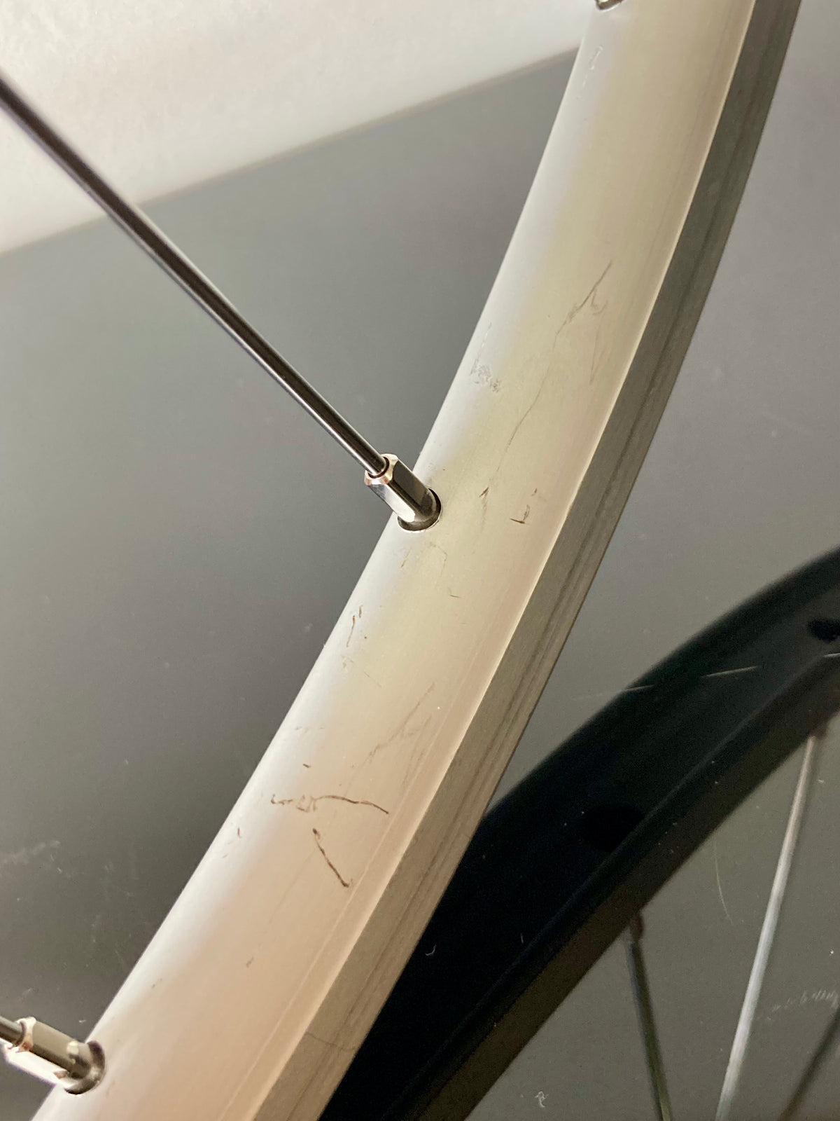 Ruote Campagnolo Veloce 9-12v, Mavic CXP 21. 700c per copertoncino