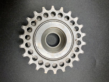 Ruota libera Regina Corsa 5v del 1977. 14-22