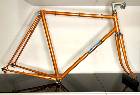 Telaio da corsa "Superba" in acciaio, tg. 54