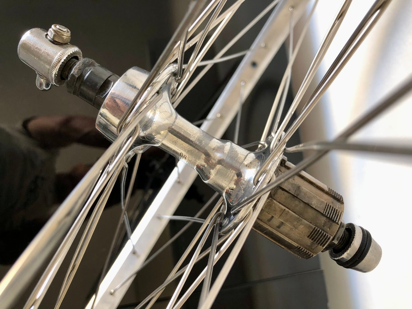 Ruote MTB 26". Mozzi Shimano Exage, cerchi Rigida A 495.