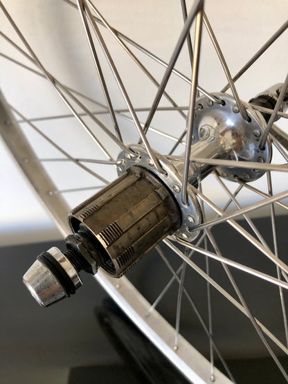 Ruote MTB 26". Mozzi Shimano Exage, cerchi Rigida A 495.