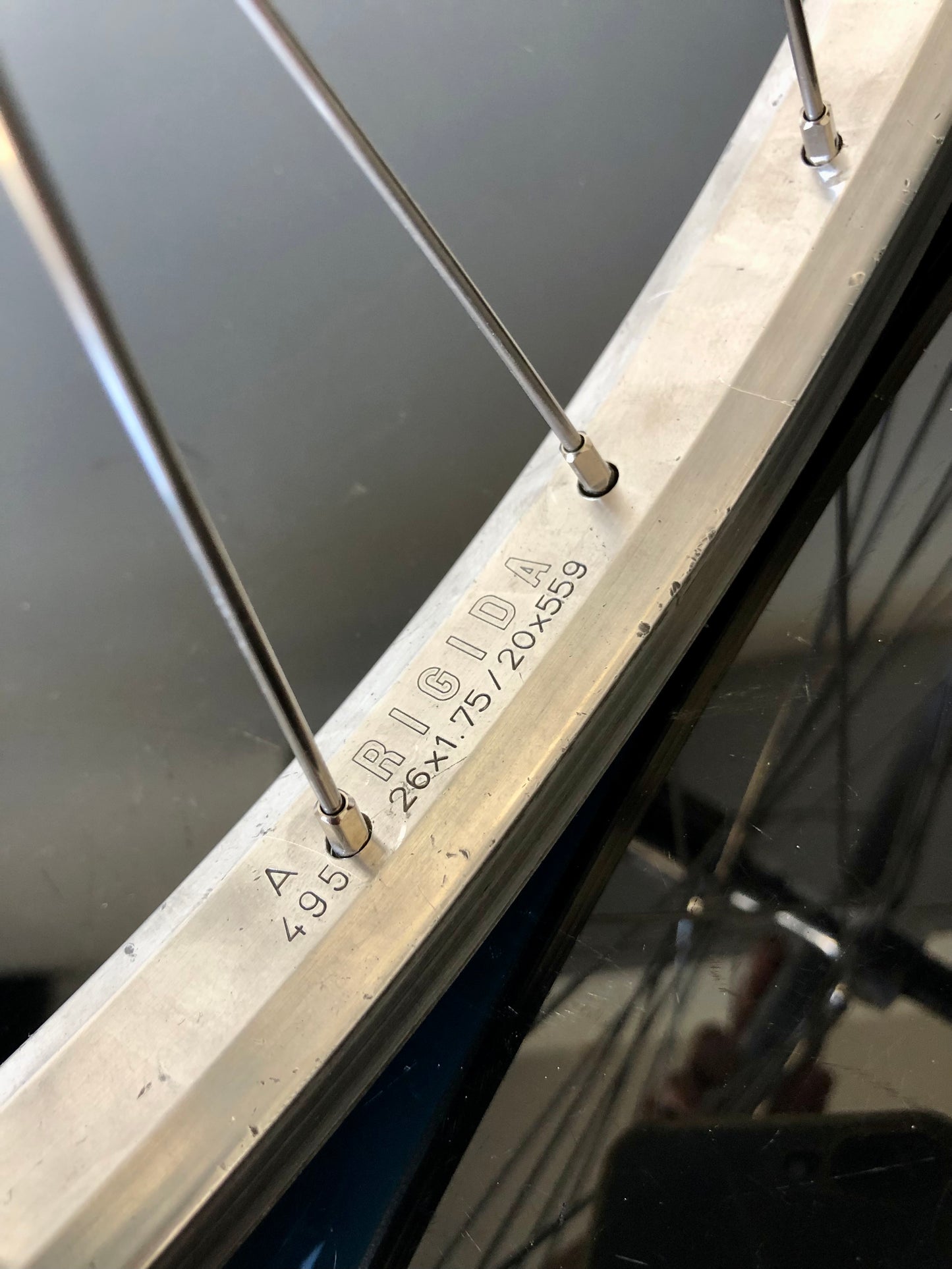 Ruote MTB 26". Mozzi Shimano Exage, cerchi Rigida A 495.