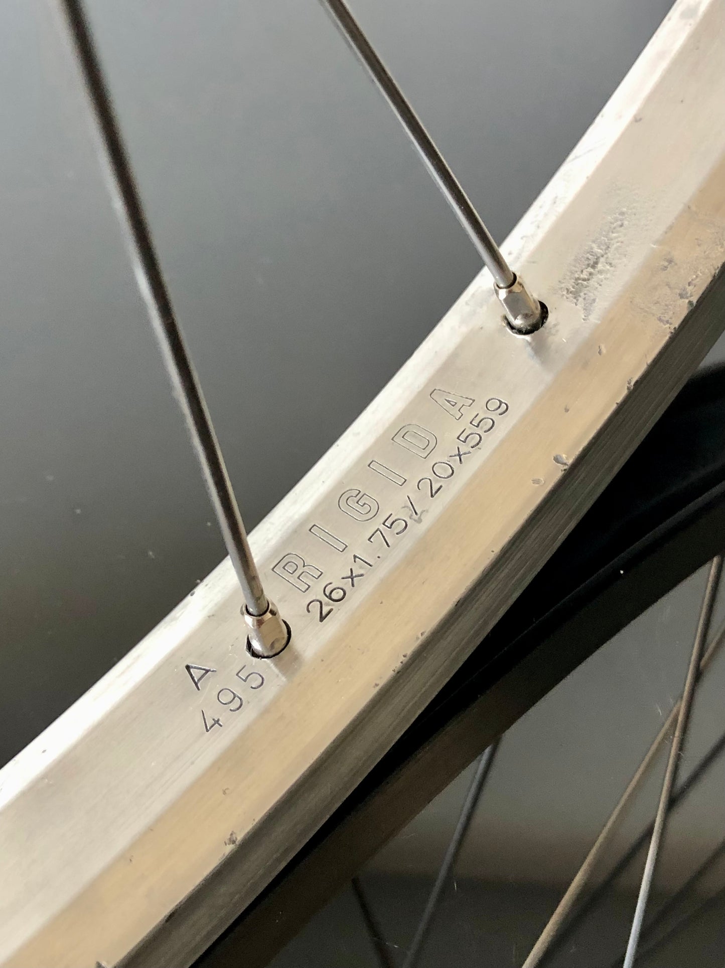 Ruote MTB 26". Mozzi Shimano Exage, cerchi Rigida A 495.