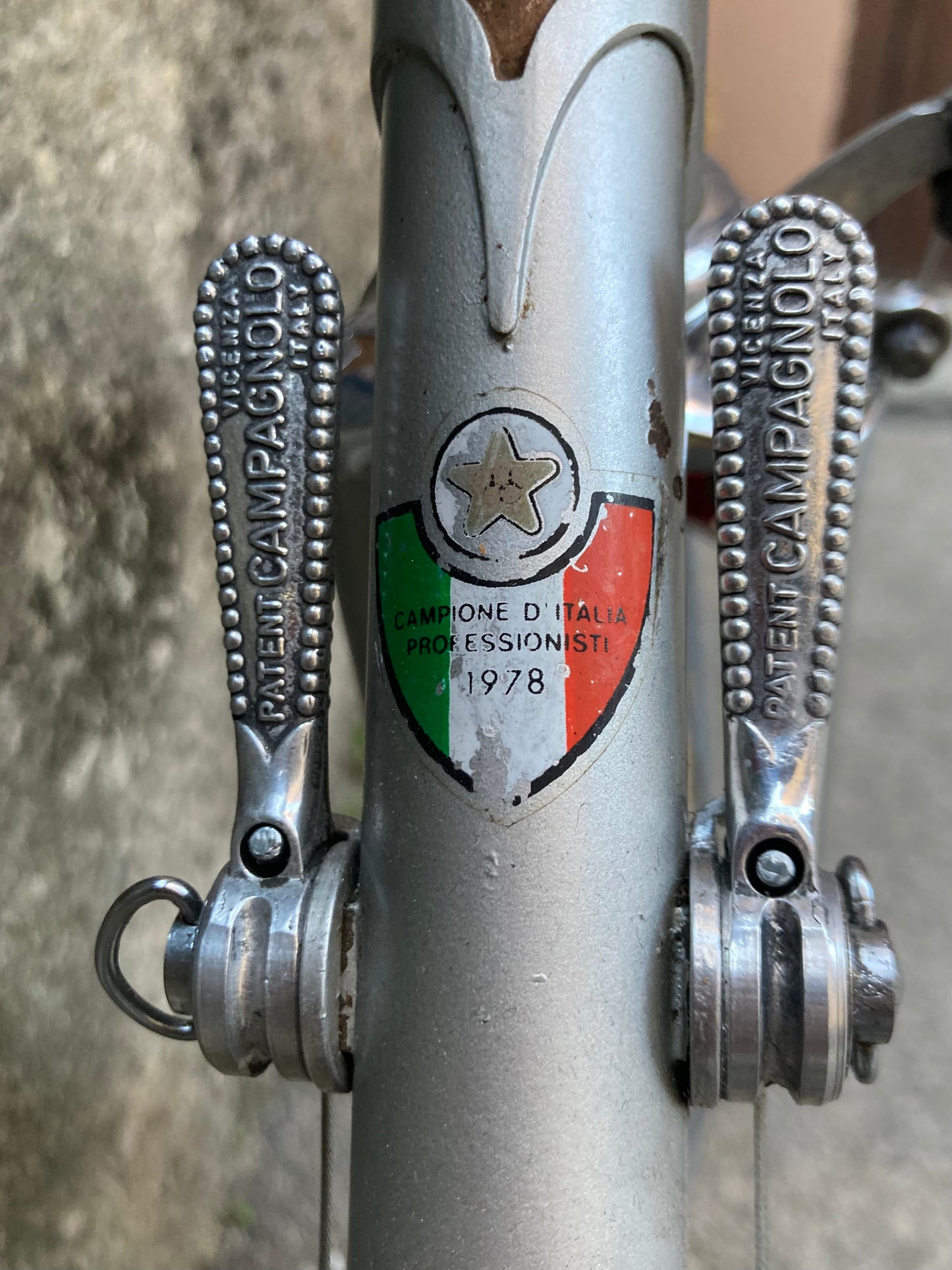 Bicicletta Olmo del '78. Tg. 54. Telaio Columbus, montaggio Campagnolo, Ofmega.