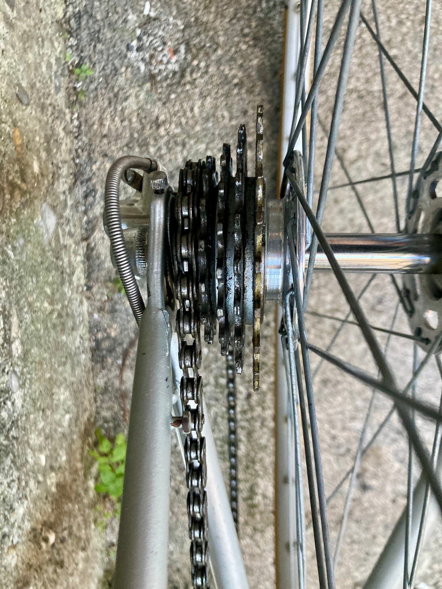 Bicicletta Olmo del '78. Tg. 54. Telaio Columbus, montaggio Campagnolo, Ofmega.