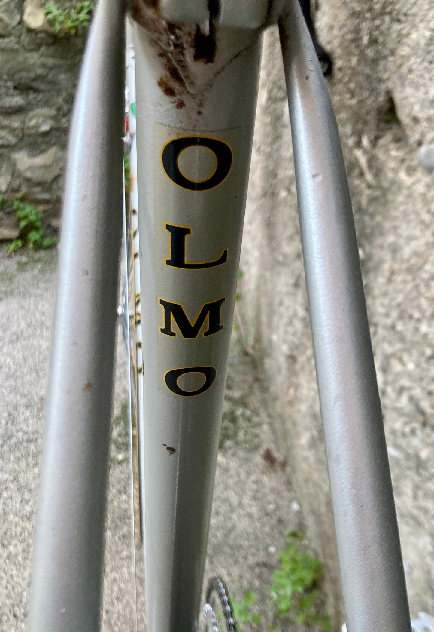 Bicicletta Olmo del '78. Tg. 54. Telaio Columbus, montaggio Campagnolo, Ofmega.