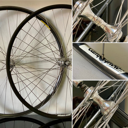 Ruote Campagnolo Record 9 10 11v. Cerchi Omega per copertoncino