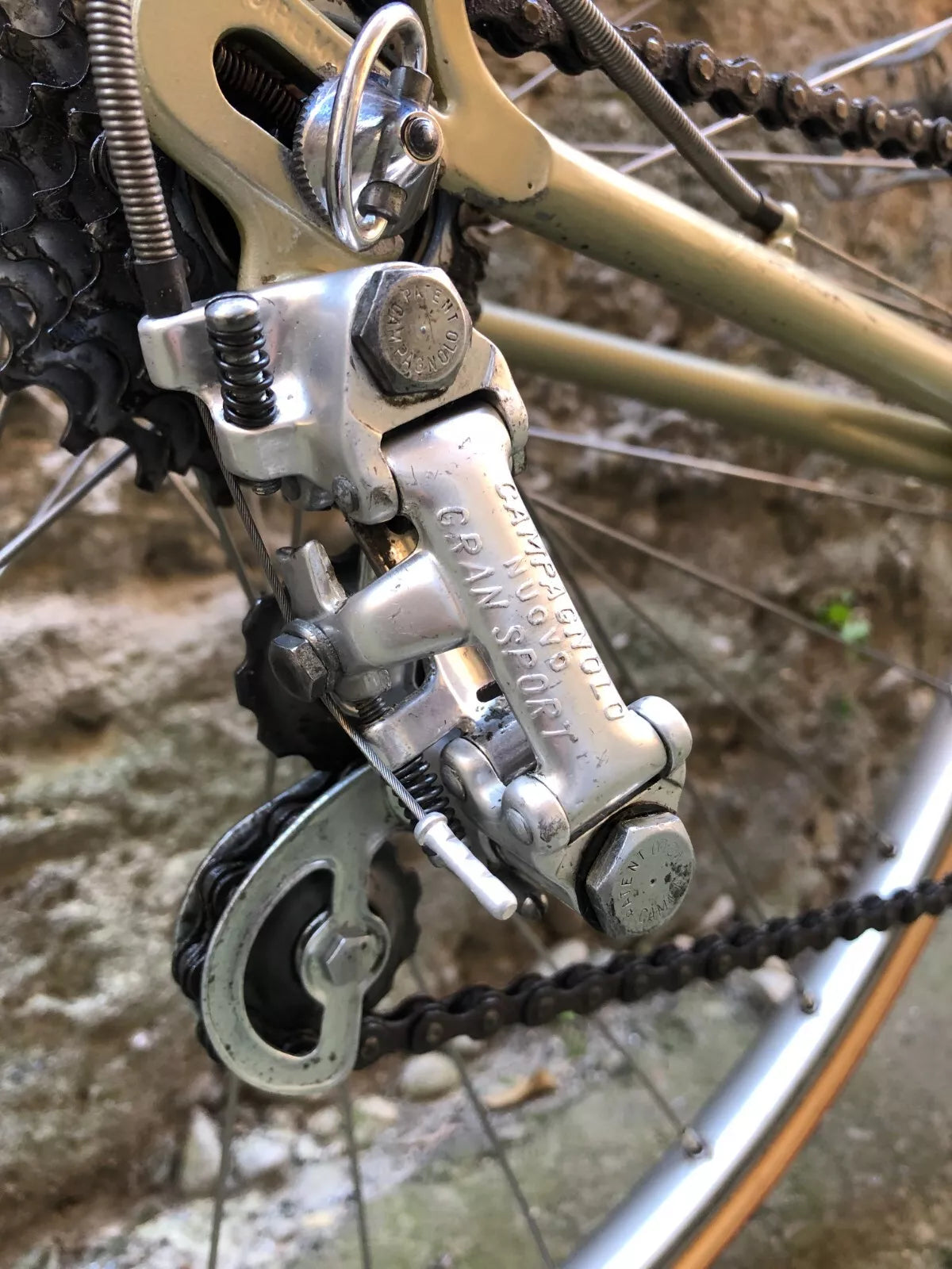 Bicicletta da corsa vintage Berma, taglia 51, Campagnolo.