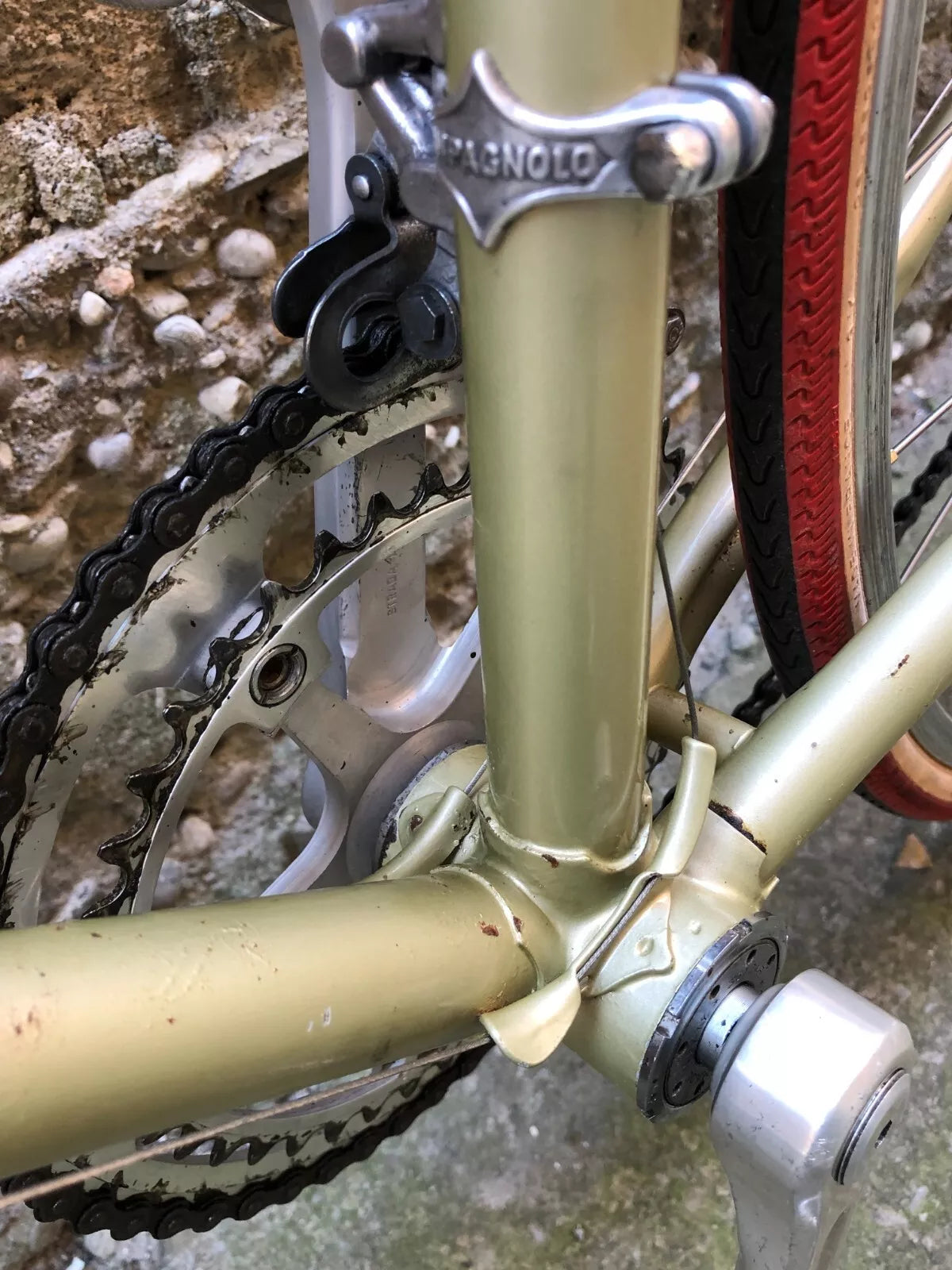 Bicicletta da corsa vintage Berma, taglia 51, Campagnolo.