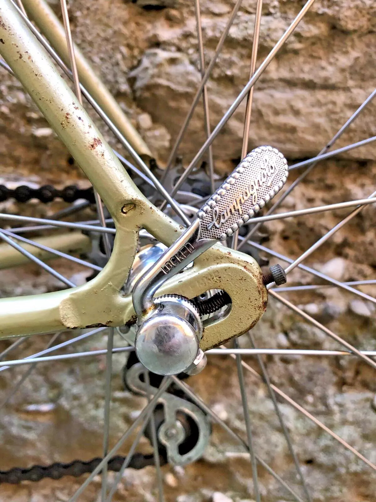 Bicicletta da corsa vintage Berma, taglia 51, Campagnolo.